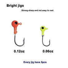 Load image into Gallery viewer, Shaddock Fishing 110 Piece Fishing Lures Tackle Kit Soft Crappie Tube Jigs Heads Hooks Fish Bass Fishing Gear Lures Kit Set (40pcs kit)